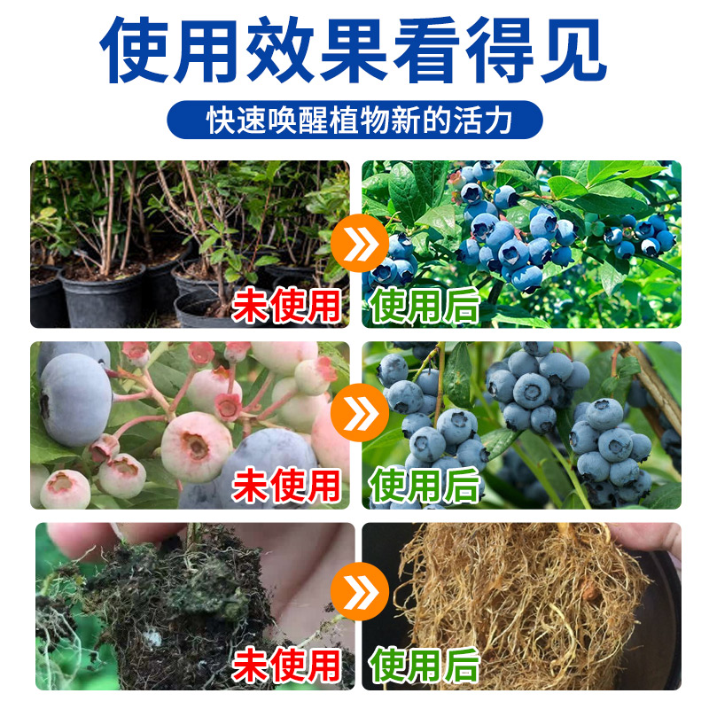 蓝莓专用营养液蓝莓肥料专用肥免稀释营养液家用盆栽有机液体肥料 - 图3