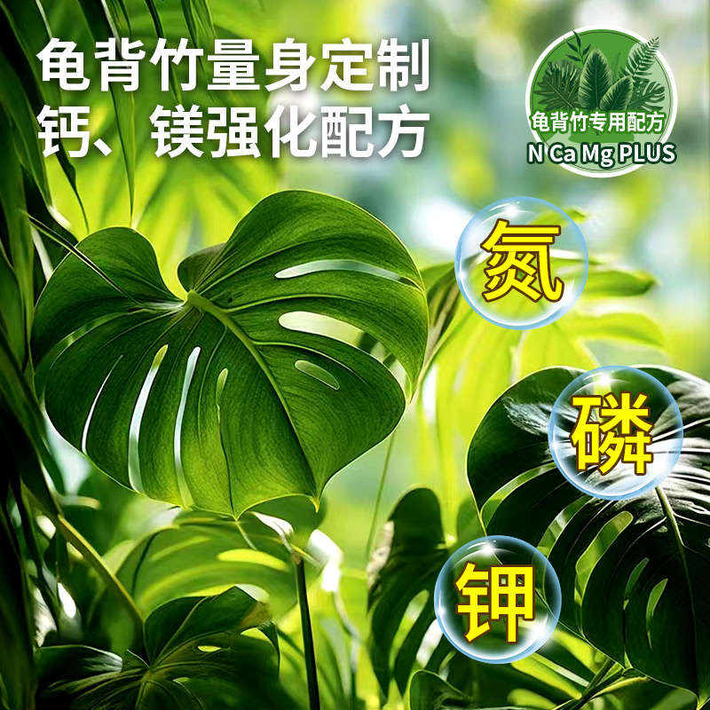 免稀释龟背竹专用营养液专用肥料龟背竹琴叶榕绿植盆栽植物通用-图2