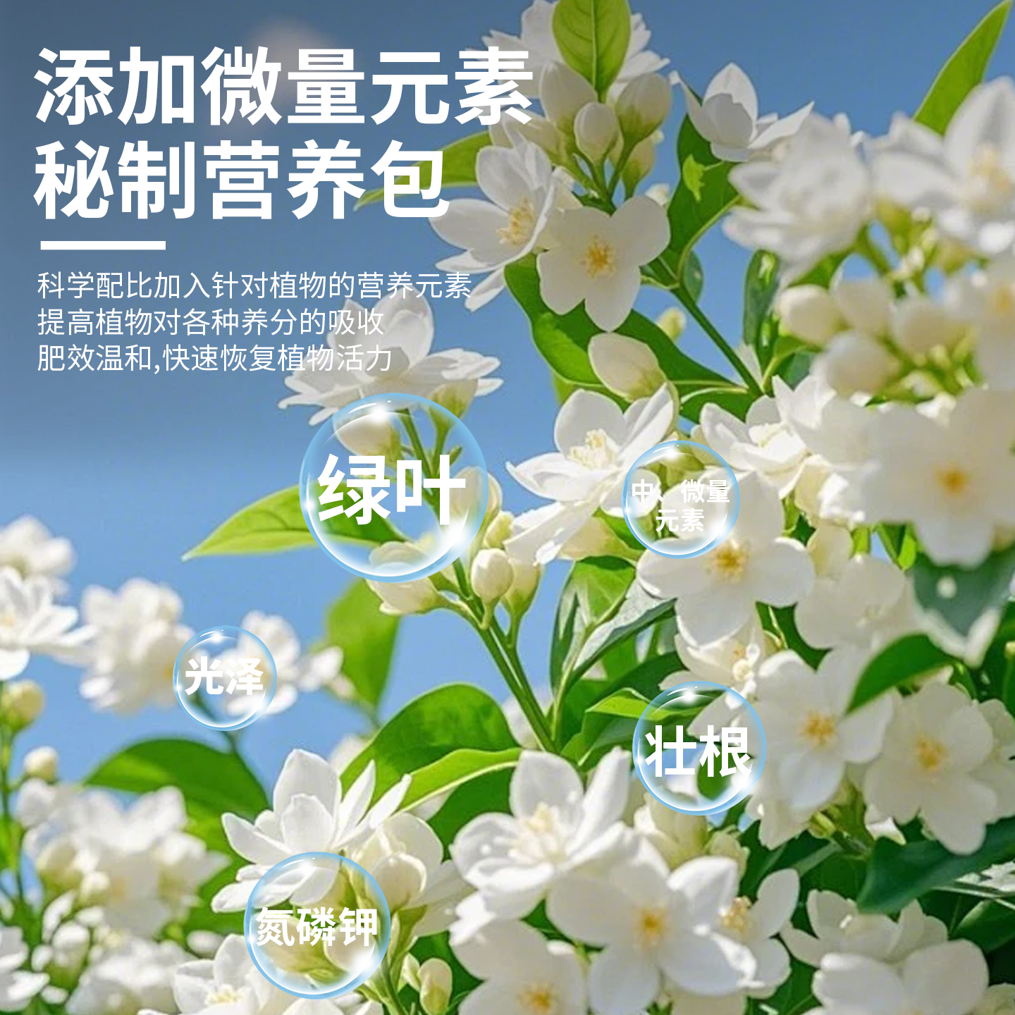 茉莉花专用植物营养液喜酸性植物花卉盆栽专用促开生根延长花期,淘宝优惠券,粉丝福利购,淘宝优惠卷