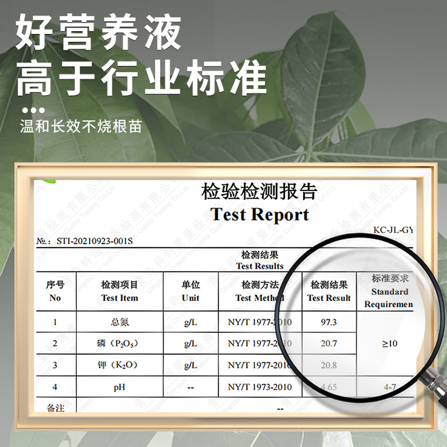 竹子专用营养液治叶子发黄水培植物通用型室内盆栽绿植液体肥料 - 图3