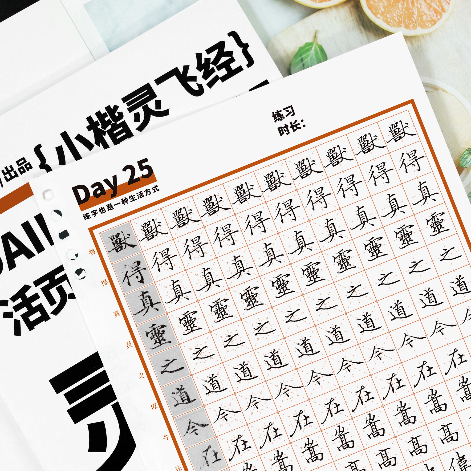 一起练字灵飞经小楷硬笔字帖成人练字临摹描红活页小楷毛笔碑帖成人练习硬笔书法纸楷书成年练字帖每日一练练字本