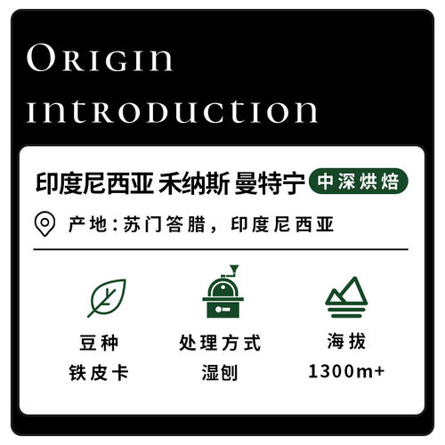 无牌咖啡印度尼西亚林东禾纳斯曼特宁湿刨法G1中深手冲乳酪坚果 - 图1