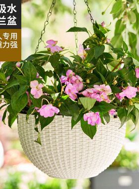 送绿萝新款吊链吊兰盆栽仿家居