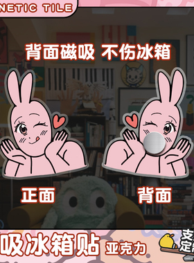 粉红兔子亚克力冰箱磁贴创意趣味