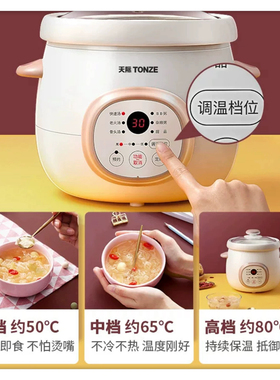 天际隔水炖迷你电炖锅宝宝BB辅食