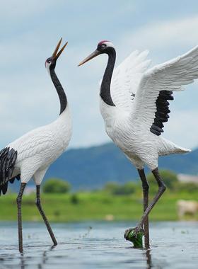 户外彷真仙鹤雕塑丹顶鹤模型园林造景景观水池鱼池庭院鹤摆件装饰