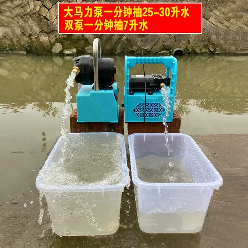 Небольшое зарядное насосное насосное насосное насос овощное артефакт