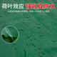 Thickened wear-resistant, waterproof and sun-proof truck tarpaulin