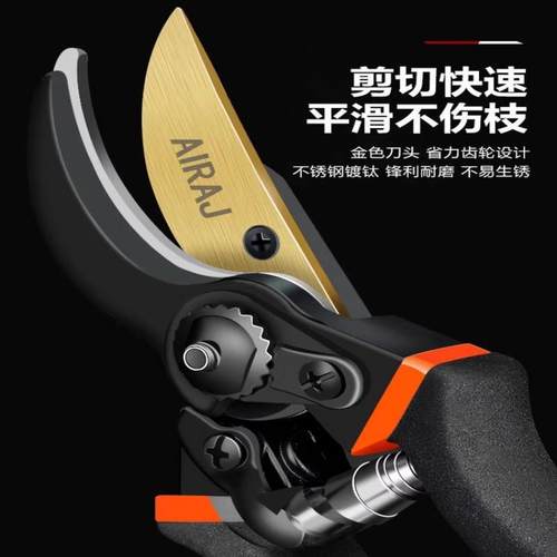 德国精工艺园剪刀剪树枝专用剪刀修枝剪果树剪花园林园艺剪子 - 图1