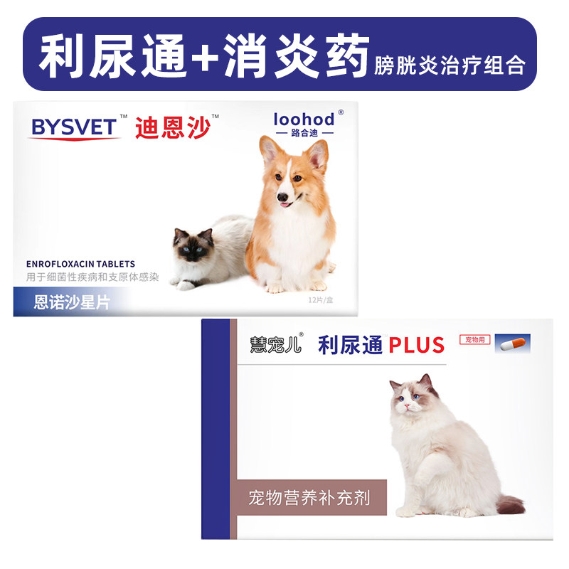利尿通猫猫咪尿路感染药猫尿血尿频泌尿系统药尿闭结石结晶药