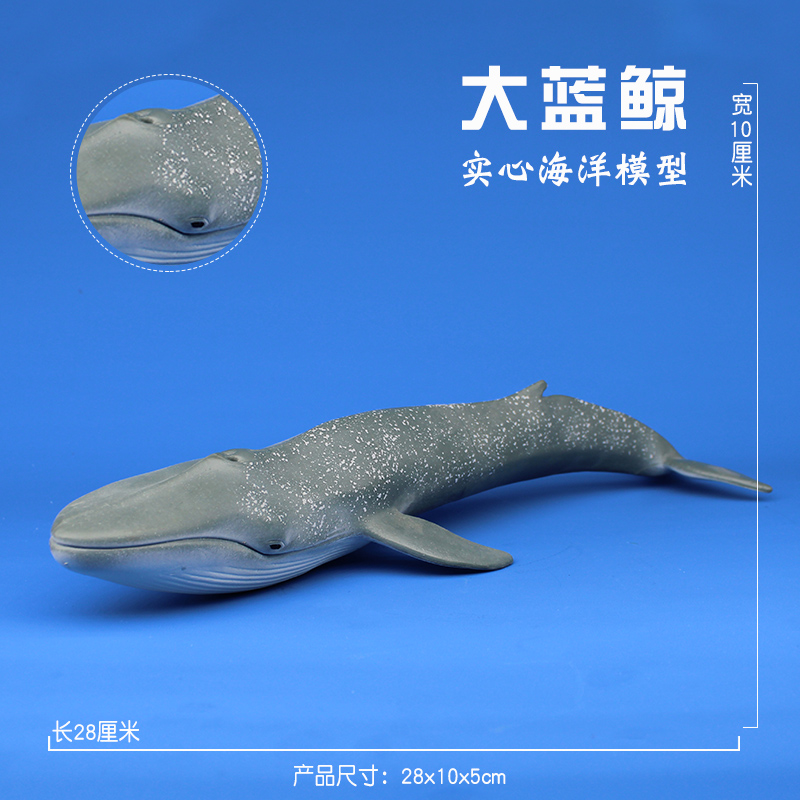 林畅海洋世界生物仿真动物蓝鲸模型大号鲸鱼鲨鱼套装儿童玩具男孩 - 图0