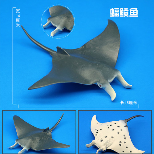 林畅模玩海洋鱼类玩具蝠鲼模型毯魟魔鬼鱼深海底生物儿童仿真动物 - 图1