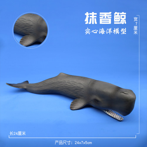 林畅模玩儿童仿真海洋生物动物模型玩具虎鲸蓝鲸白鲸抹香鲸独角鲸 - 图1