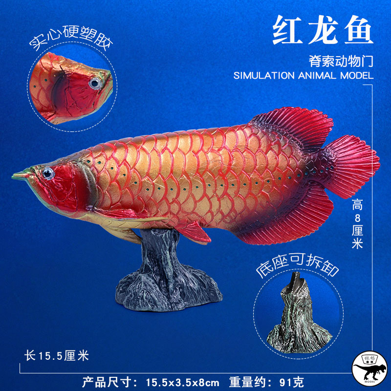林畅模玩海洋动物深海远古鱼玩具红龙鱼模型硬骨舌鱼儿童仿真生物 - 图0