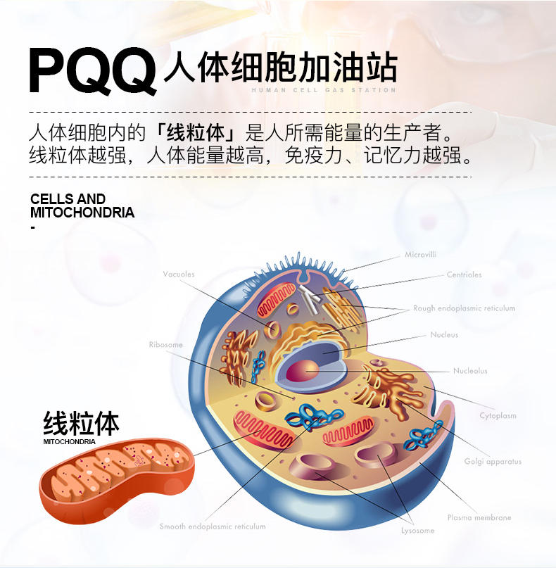 LifeExtension海外旗舰店辅酶q10胶囊还原型Q10富里酸线粒体促排备孕卵泡提高卵子质量 B1