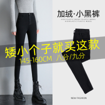 150 small subpants autumn winter plus suede 80% conspicute underpants woman outside wearing high waist 90% black small leggings pants