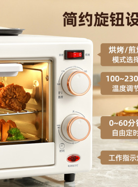 煎烤二合一电烤炉家用电烤箱小型