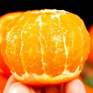 帮农日记！广西武鸣沃柑[20元优惠券]-寻折猪