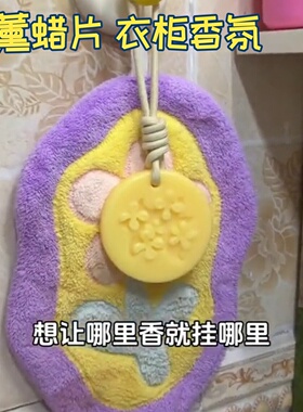 金香薰蜡片持久留香衣柜家用高级感香氛卧室衣橱空气清新植网红同