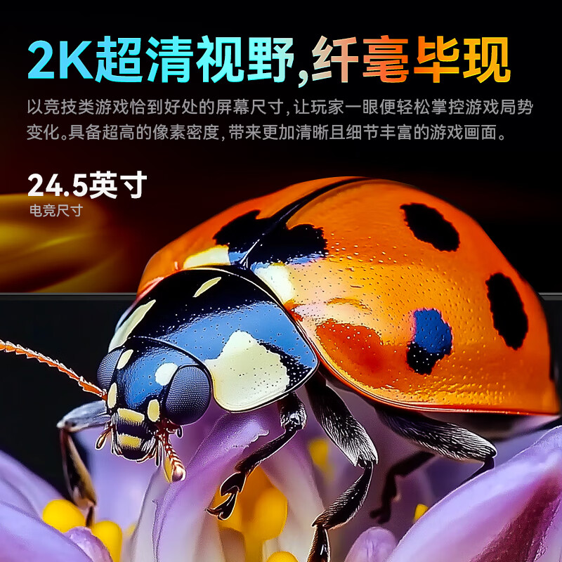 泰坦军团P2512S 24.5英寸2K显示器240Hz高刷电竞屏幕27电脑外接屏 - 图0