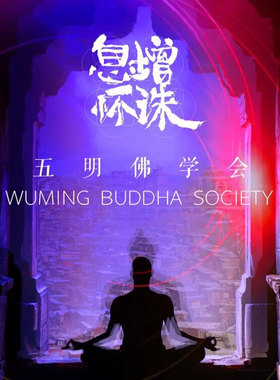 佛系饰品念珠手绳纯银金刚结