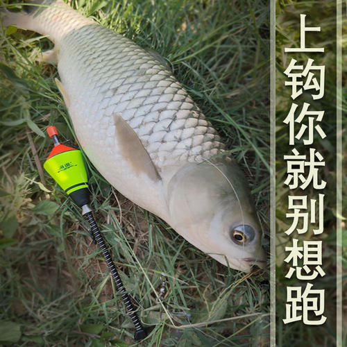 鱼钩自动钓鱼漂钩器神器找底钓神钩万向灵敏我爱发明渔具用品全 - 图2