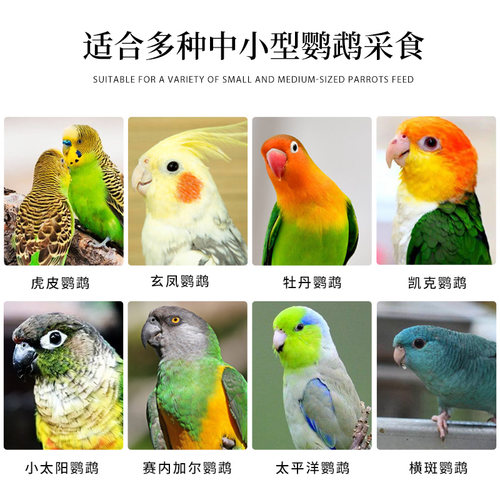 开元鸟食营养鹦鹉粮玄凤牡丹虎皮鹦鹉饲料中小型鹦鹉鸟饲料混合粮 - 图0