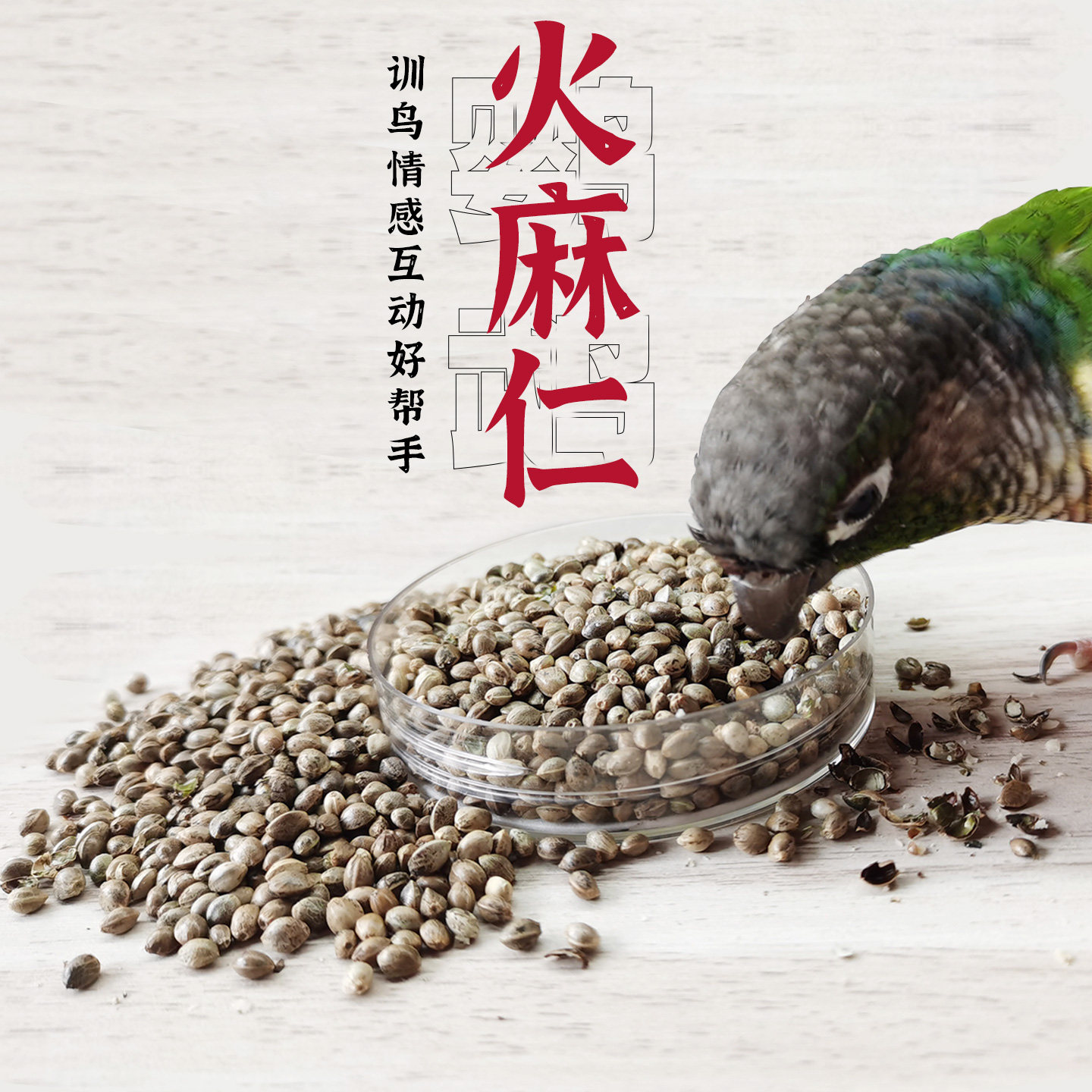 开元鹦鹉零食麻子火麻仁火麻籽鸟食饲料鹦鹉粮小太阳虎皮牡丹玄凤,淘宝优惠券,粉丝福利购,淘宝优惠卷