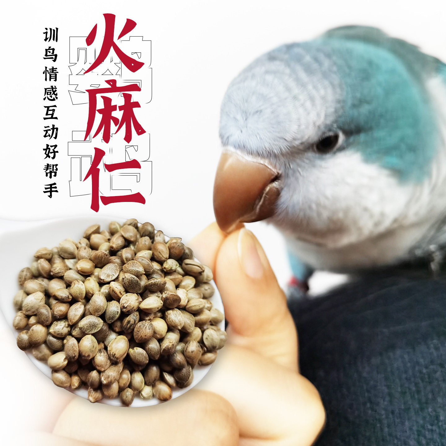 开元鹦鹉零食麻子火麻仁火麻籽鸟食饲料鹦鹉粮小太阳虎皮牡丹玄凤,淘宝优惠券,粉丝福利购,淘宝优惠卷