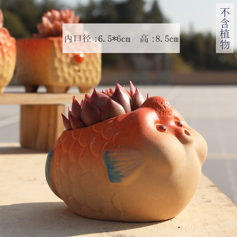多肉花盆陶瓷可爱创意个性手绘小鱼卡通动物磨砂粗陶桌面特价清仓,淘宝优惠券,粉丝福利购,淘宝优惠卷