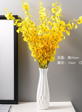 腊梅花专用陶瓷花瓶水培客厅摆件