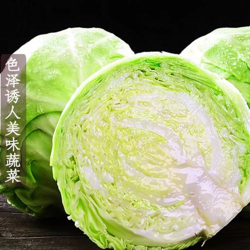 新鲜蔬菜绿甘蓝卷心菜大头菜包心菜圆包菜沙拉菜生吃9斤产地直销 - 图3