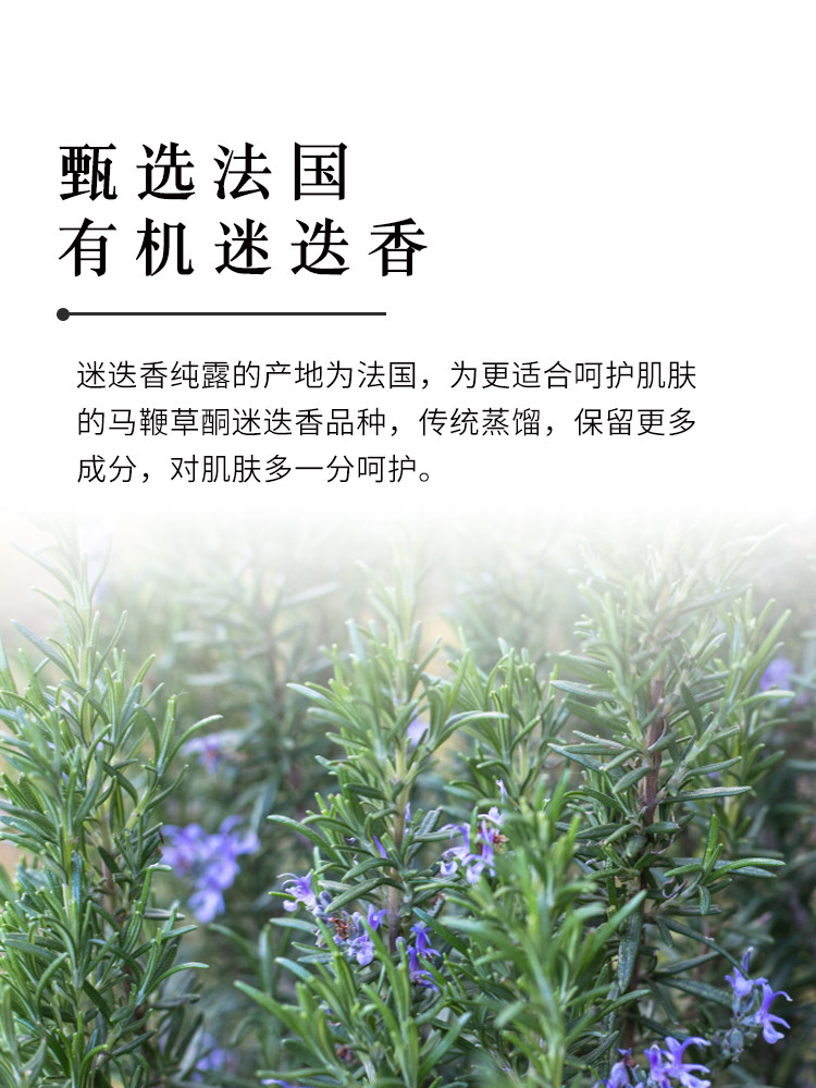 法国马迷纯露马鞭草酮迷迭香爽肤水 小尼芳香纯露/花水