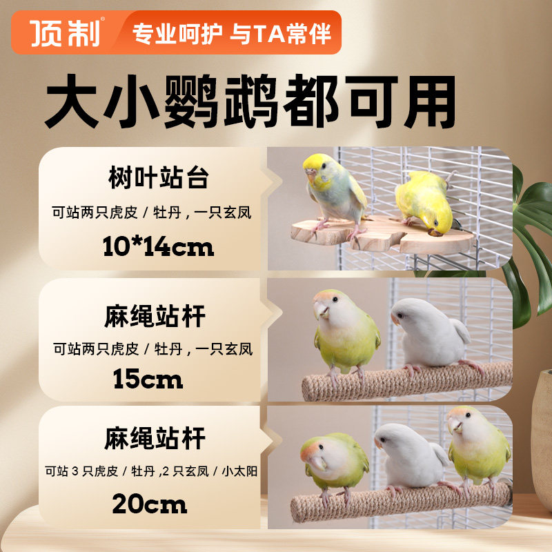 天然木质鸟玩具站台站杆站架虎皮玄凤牡丹专用磨牙磨爪鸟笼装饰,淘宝优惠券,粉丝福利购,淘宝优惠卷