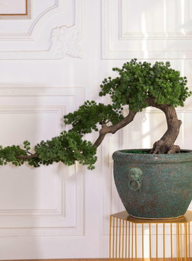 景德镇陶瓷种树金鱼缸流水摆件