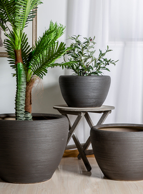 景德镇陶瓷睡莲客厅荷花缸