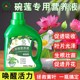 Bowl lotus fertilizer Bowl lotus nutrient solution Water lily special nutrient solution fertilizer to promote flowering Hydroponic lotus special fertilizer