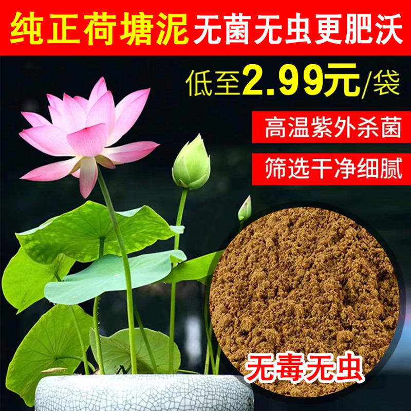 300斤荷塘泥睡莲碗莲专用土养龟不浑水荷花正宗纯种花土河泥有机 - 图0