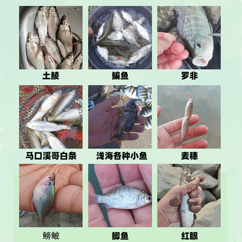 溪流小物钓小鱼微物鳑鲏白条石斑绑好成品台钓手竿钓组线组鱼钩