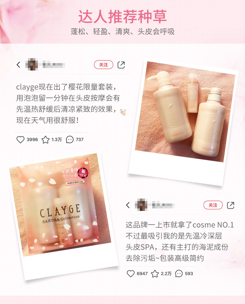 可休clayge清爽控油蓬松樱花洗发水柔顺男女洗发露持久留香洗发乳 - 图3