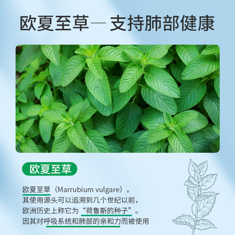 【新品】好分贝成人咳咳肺部健康滴剂 NaturesAnswer海外槲皮素