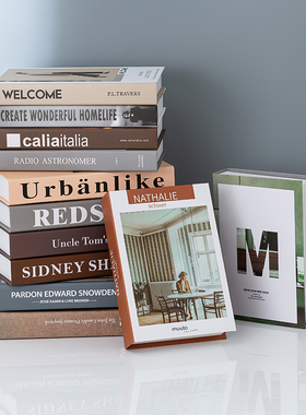 现代假书摆件北欧轻奢仿真书客厅