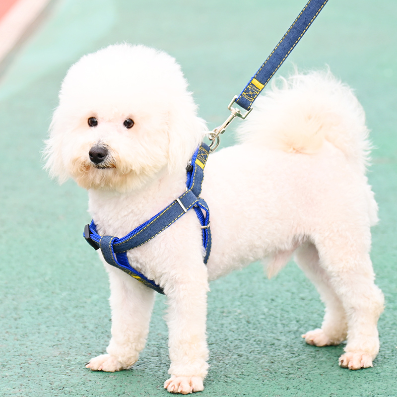 狗狗牵引绳大型中型小型犬狗链子狗项圈泰迪金毛遛狗绳子宠物用品 - 图2