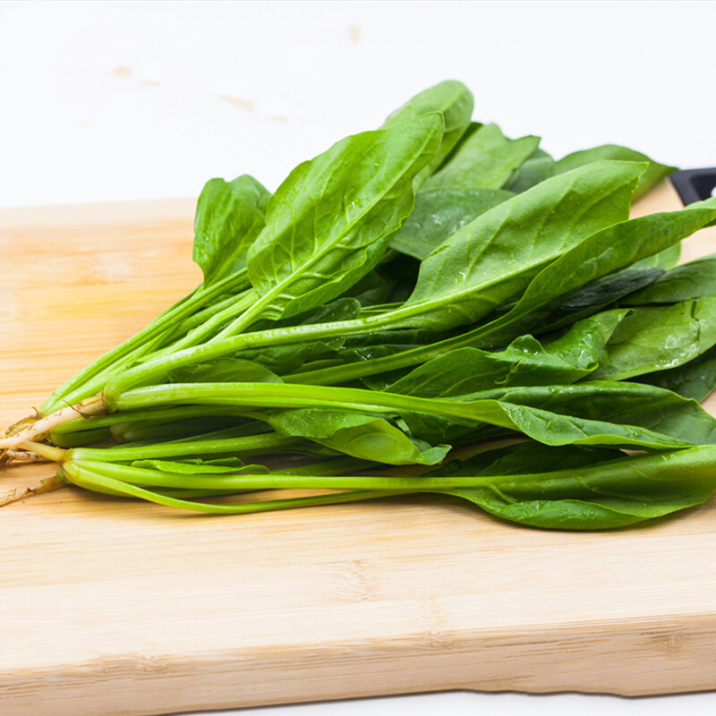 耐寒菠菜种籽农家菠菜籽种秋季冬季四季耐寒盆栽青菜种孑菠菜种子 - 图2