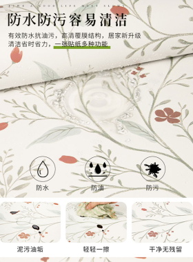 墙面防水防潮防霉翻新遮丑母婴级
