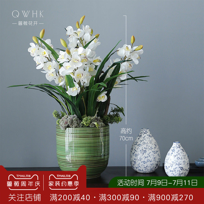 大花地栽 新人首单立减十元 21年7月 淘宝海外