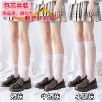 Spring Summer Calf Socks stockings Sox womens thin section Lolita white Japanese Faculty Wind long cylinder over knee jk socks