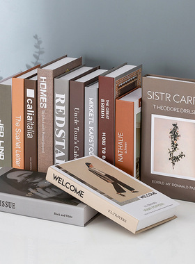 意式简约英文假书装饰仿真书摆件