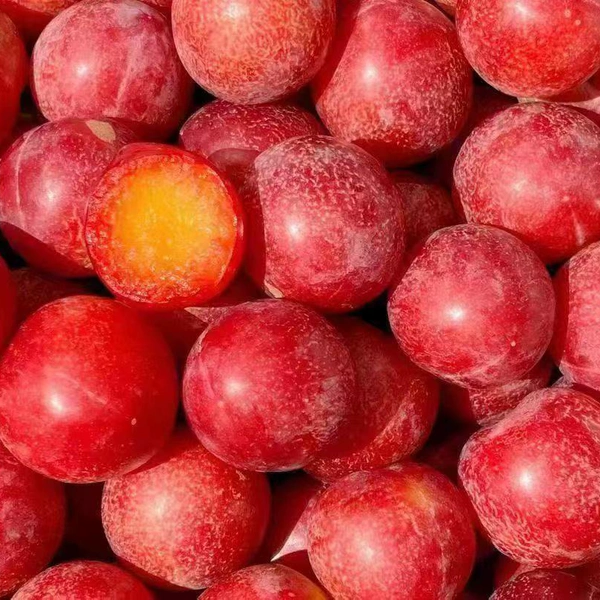 现货智利樱桃李新鲜时令孕妇水果进口李子5斤原箱礼盒装顺丰包邮,淘宝优惠券,粉丝福利购,淘宝优惠卷