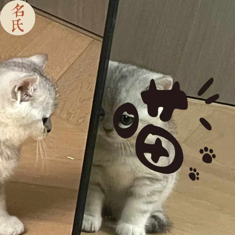 フランシュリッペ パンツ 猫 ねこ 白猫 黒 ブラック ネコ フランシュリッペ パンツ 猫 ねこ 白猫 黒 ブラック ネコ